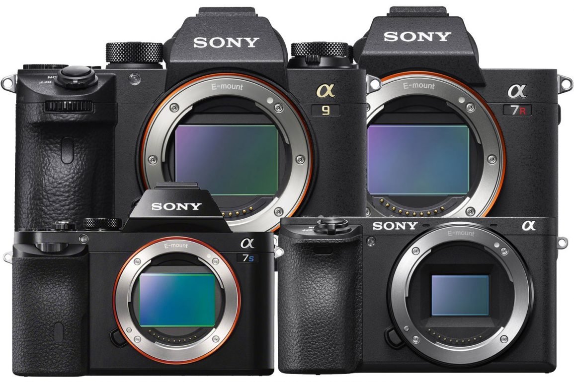 sony-mirrorless-camera-guide-