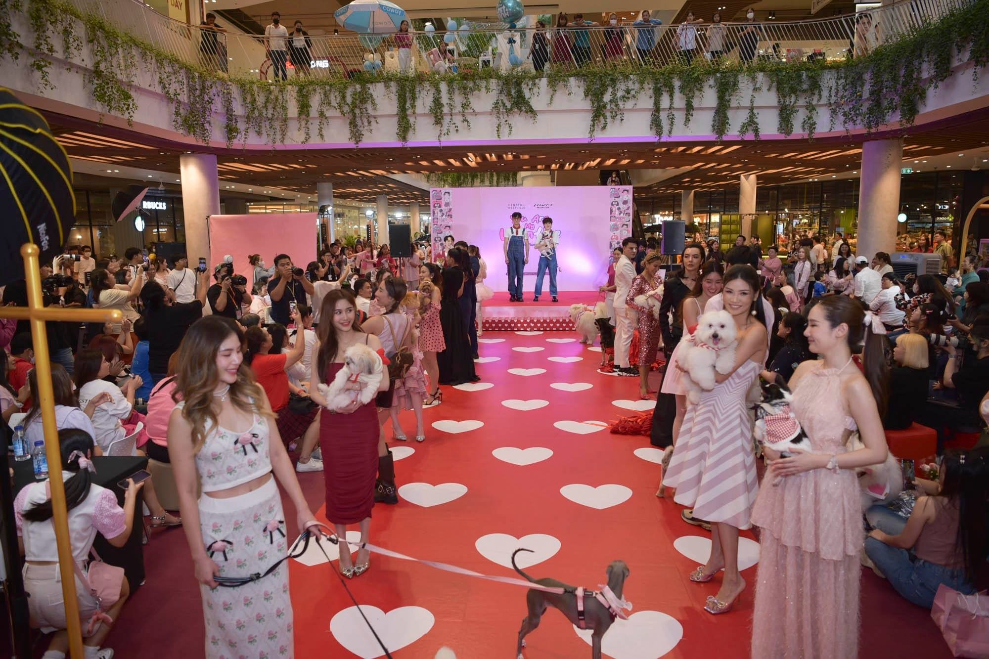 Central Westville x Praew “You are my valentine เพราะเธอคือ ความรัก