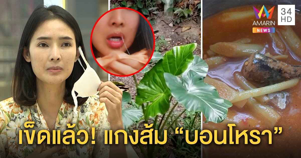 สาวเล่านาทีกินแกงส้มออดิบ เจอพิษ “บอนโหรา” เกือบตาย เทียบใบชัด ๆ ยังแยกยาก (คลิป)