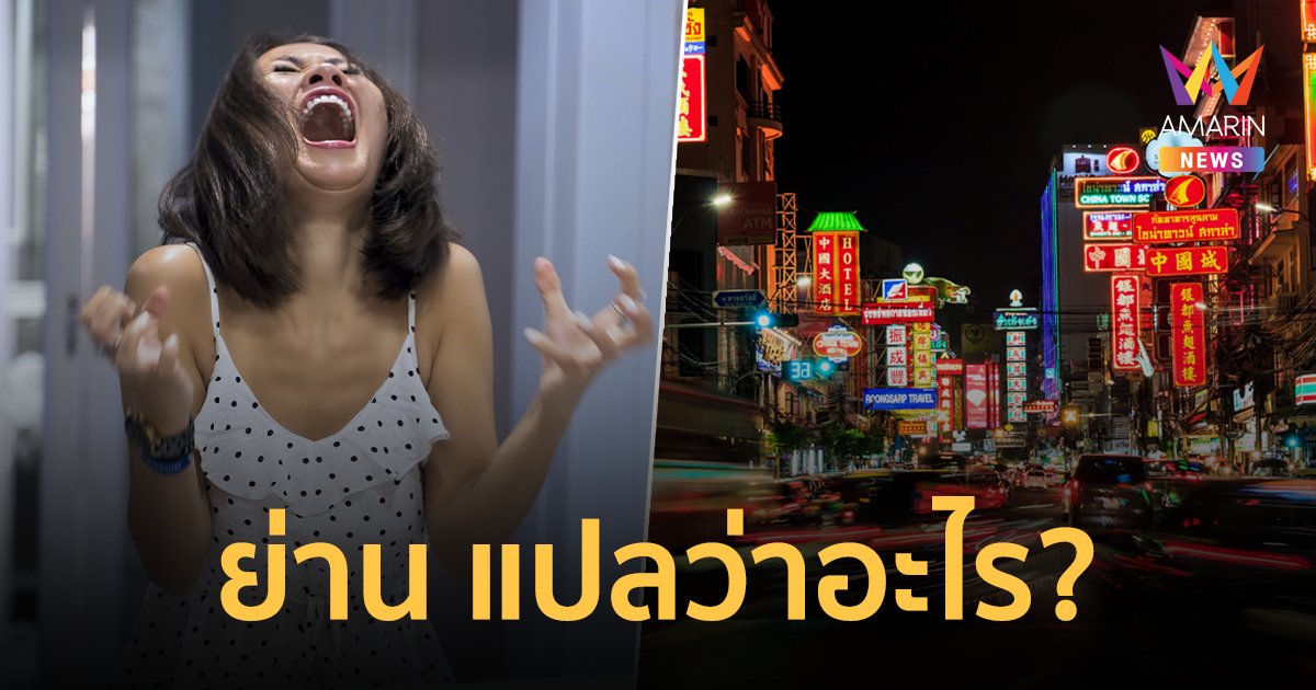 ย่าน แปลว่าอะไร เปิดความหมายทั้งภาษาไทยและภาษาอีสาน