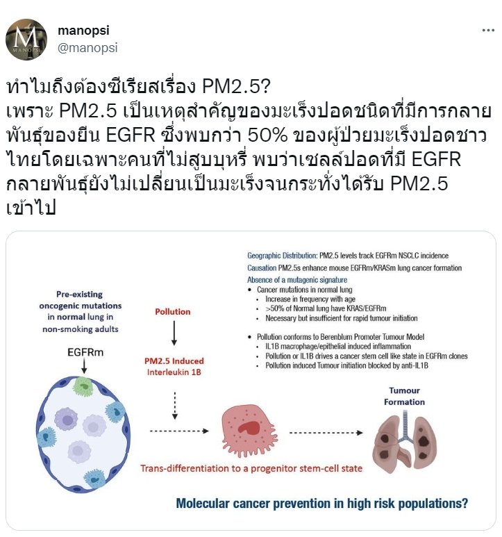PM2.5มะเร็งปอด