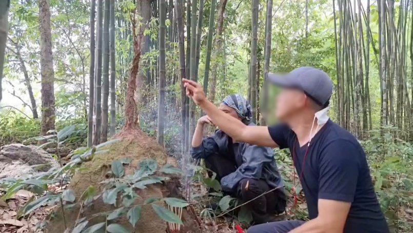 เลขเด็ด