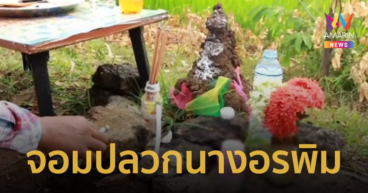 เลขเด็ด 16/8/66 แห่ขอเลขเด็ดจอมปลวกนางอรพิม ในจ.บุรีรัมย์