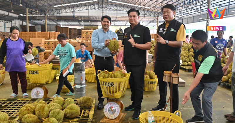 เฮ! จีนอนุมัติส่งออกทุเรียนไทยแล้ว มั่นใจครองเบอร์ 1 ของโลกได้