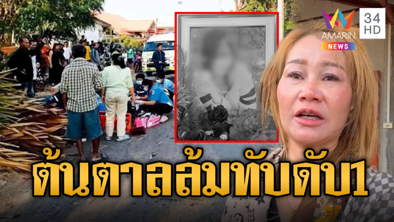 ลมกระโชกแรง! พัดต้นตาล 100 ปีล้ม ทับคนดับ 1 สาหัส 1