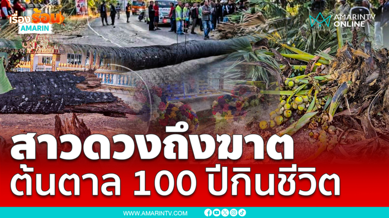 ต้นตาล 100 ปีล้ม สาวดวงถึงฆาตถูกทับ