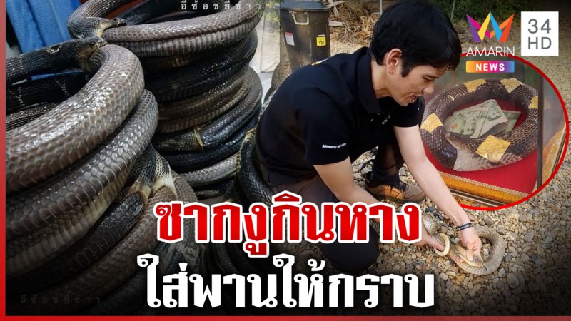 ดรามา! มู "งูกินหาง" อ้างมีโชครวยไม่รู้จบ แพรรี่ฉะเดือดงูติดกาว