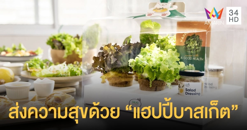 มอบของขวัญชิ้นพิเศษในเทศกาลแห่งความสุขด้วย แฮปปี้บาสเก็ต (Happy Basket) กระเช้าผักดีไซน์พิเศษ