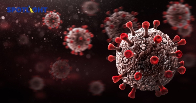 พบไวรัสใหม่ในจีน 