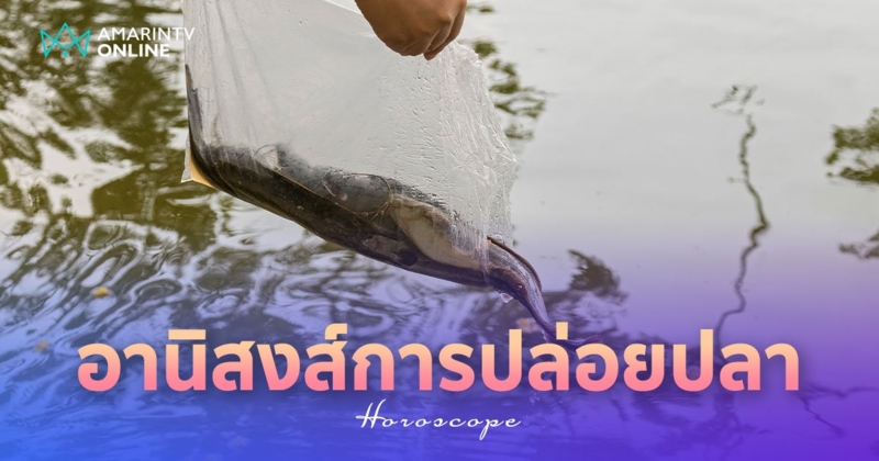 ปล่อยปลาทำบุญ ความเชื่อ และอานิสงส์ที่จะได้รับ เมื่อทำบุญวันเกิด