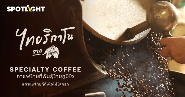 ไทยริกาโน (Thairicano)  กาแฟอาราบิก้า 100% จากแม่ฮ่องสอน โดย พันธุ์ไทย