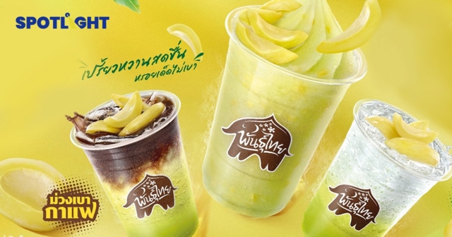 กาแฟพันธุ์ไทย ดึง ‘มะม่วงเบา’ สู่เครื่องดื่ม เพิ่มมูลค่าของดีปักษ์ใต้