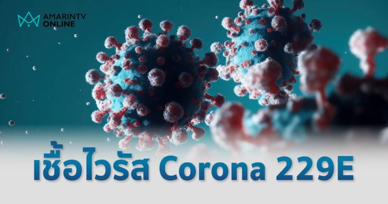 พบผู้ป่วย 2 ราย ติดเชื้อ ไวรัสโคโรนา สายพันธุ์แรก ที่ค้นพบใน ค.ศ. 1965 เผย อาการโรคที่คล้ายกันในผู้ป่วย 2 รายนี้