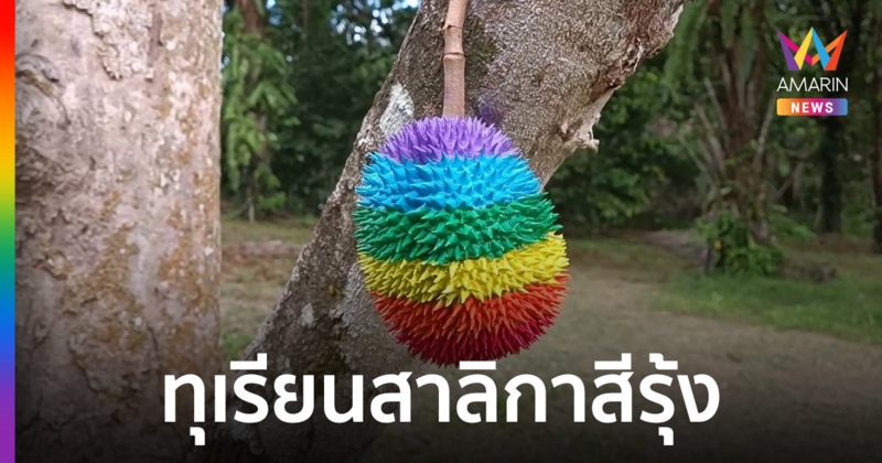 หนึ่งเดียวในไทย พังงาเปิดตัวทุเรียนสาลิกาสีรุ้ง ฉลองเดือน Pride หนุนสมรสเท่าเทียม