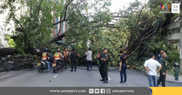 กฟน. ลงพื้นที่ตรวจสอบแก้ไขเหตุต้นไม้ล้มทับสายสื่อสารทำให้เสาไฟล้มบริเวณซอยชิดลม