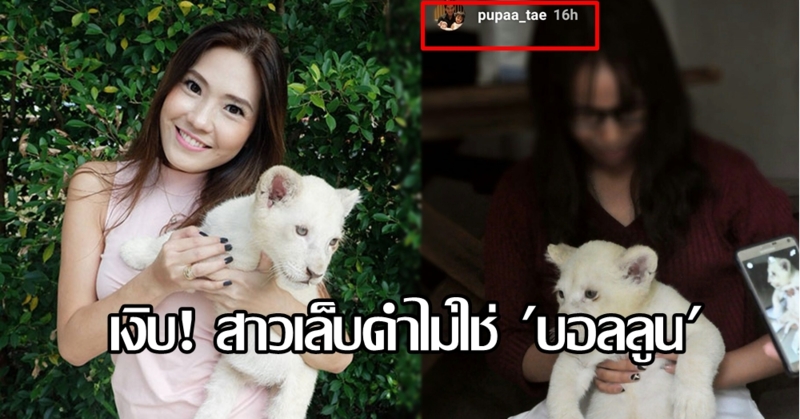 'ภูผา' เฉลยให้! ตัวจริงสาวเล็บดำลูบหัวสิงโต ต้นตอลือ 'บอลลูน' กิ๊ก 'สงกรานต์'