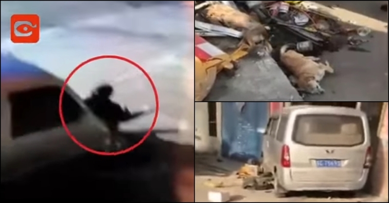 เดือดระดับ John Wick! หนุ่มจีนซิ่งรถขยี้ร่างคนร้าย หลังเห็นตูบสุดรักโดนฆ่าตายต่อหน้า