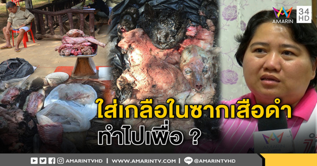 ไขคำตอบ ใส่เกลือในซาก 