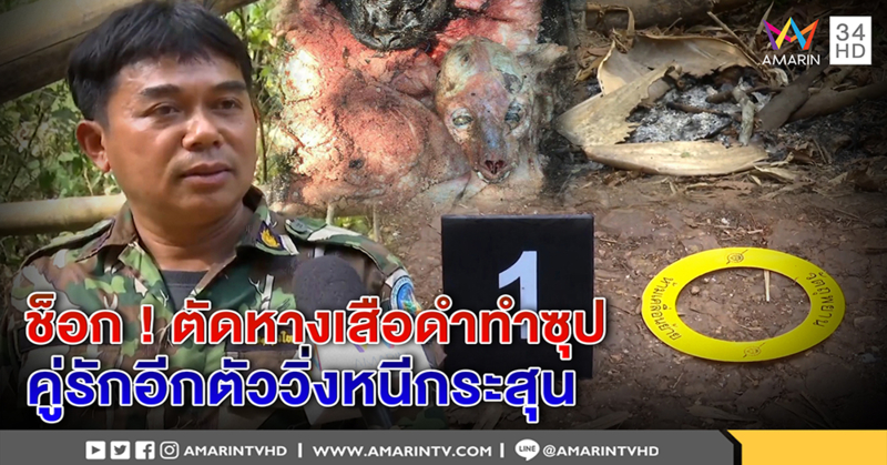 ช็อก! ตัดหางเสือดำทำซุป เจอหม้อใกล้เต็นท์เจ้าสัว เศร้าอีกตัวเป็นคู่รัก วิ่งหนีกระสุน (คลิป)