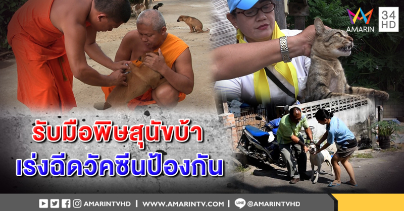 พิษสุนัขบ้าระบาดหนัก! หลายจังหวัดเร่งฉีดวัคซีนหวังพื้นที่ปลอดโรค ชวนปชช.ลงทะเบียนช่วย