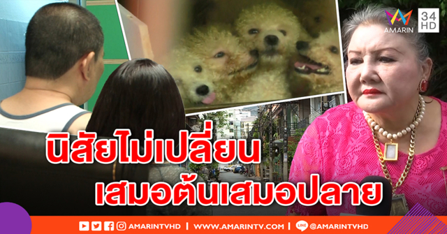 สนั่นซอยอีกแล้ว! เพื่อนบ้านสุดทน อัดคลิปแฉ “ป้าแสงระวี” ด่ากราด เอือมกลิ่นหมาคลุ้ง (คลิป)