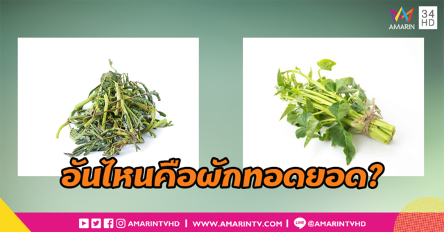 ผักทอดยอด...คือผักชนิดไหนระหว่าง ผักกระเฉดกับผักบุ้ง??