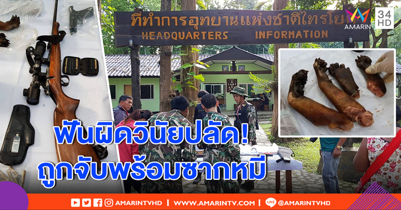 รวบปลัดอำเภอ-อส. นำก๊วนออฟโรดพกไรเฟิล กระสุนเพียบ อึ้งซากหมีคารถ เจ้าตัวปัดล่า (คลิป)