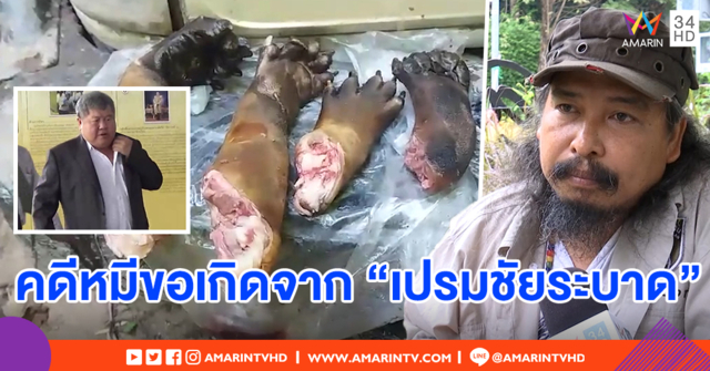 กลุ่มเพื่อนทับลาน สะท้อน 