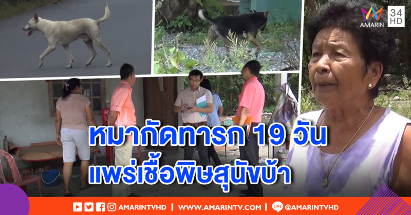 สุนัขกัดทารก 19 วัน ติดเชื้อบ้า หมาแมวในละแวกตายเกลื่อน ประกาศพื้นที่คุมโรคระบาดสัตว์
