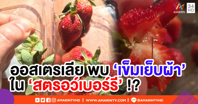 ออสเตรเลียสั่งสอบเหตุพบ 'เข็มเย็บผ้า' ซ่อนในสตรอว์เบอร์รี