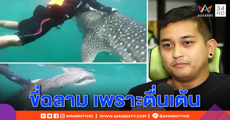 แก๊งเจ็ตสกี สำนึกผิดรุมขี่ฉลามวาฬ ขอโทษหวังสังคมอภัย ยันรู้เท่าไม่ถึงการณ์ (คลิป)