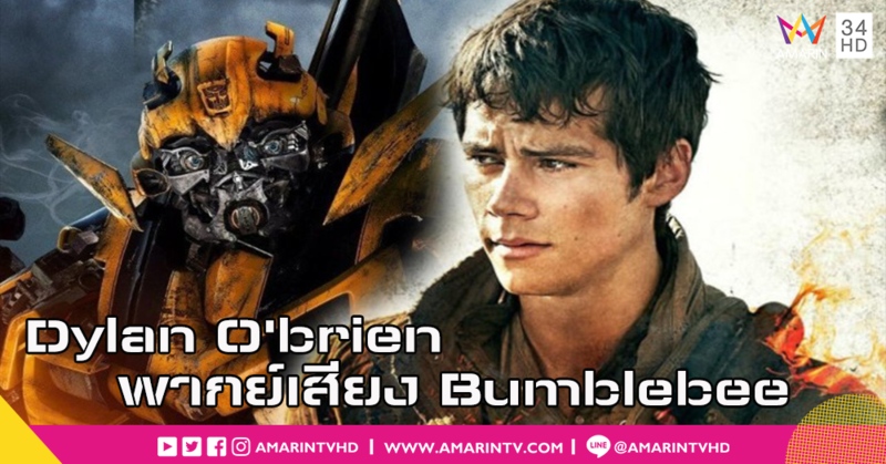 Dylan O'brien พระเอกหนุ่มจากไตรภาค Maze Runner จะพากย์เสียงเป็น Bumblebee