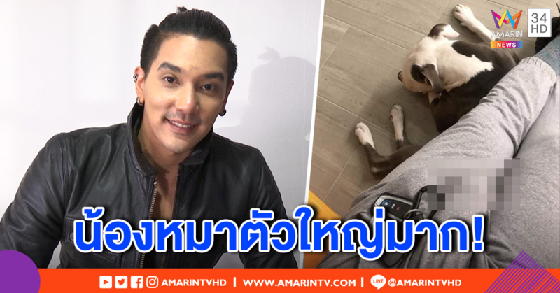 อลังการ! "ดีเจแมน" โพสต์ภาพพิทบูล ชาวเน็ตโอ้โห หลุดโฟกัส ลืมมองหมาเลยแบบนี้