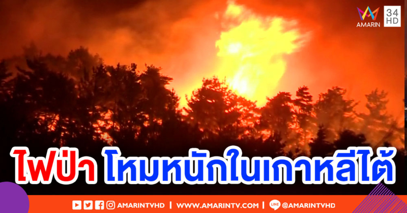 ไฟป่าโหมอย่างหนักในเกาหลีใต้ เจ้าหน้าที่มากกว่า 1 หมื่นคนเร่งดับ