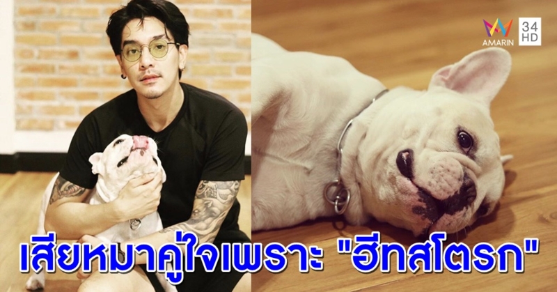 "ดีเจแมน" โพสต์เศร้า "ฮีทสโตรก" พรากหมาสุดที่รัก