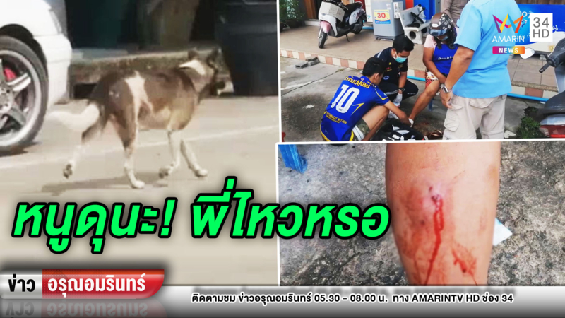 ข่าวอรุณอมรินทร์ :ชาวบ้านผวา หมาจรจัดไล่กัดเจ็บนับ 10 ราย