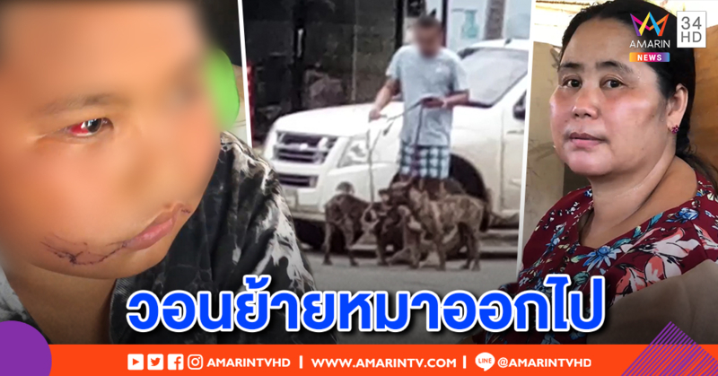 เปิดใจแม่ ด.ช. 11 ขวบ ถูกพิตบูล 2 ตัวรุมขย้ำหน้าเหวอะ-แผลทั่วร่าง กลัวเจ้าของหมาเมินช่วย