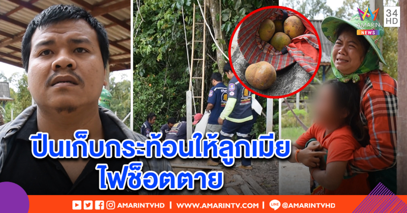 คนงานเขมรปีนต้นกระท้อนข้างเสาไฟ พลาดตะขอเกี่ยวสาย ถูกช็อตดับร่างห้อย ลูกเมียร้องระงม