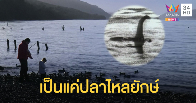นักวิทยาศาสตร์เผยสมมติฐานใหม่ 'เนสซี่แห่งล็อคเนส' แค่ปลาไหลยักษ์