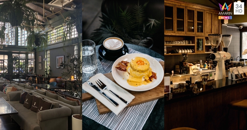 ฉลอง 7 ปี “คาซ่า ลาแปง” คาเฟ่บ้านกระต่ายชื่อดังขวัญใจเหล่าคาเฟ่ฮอปเปอร์