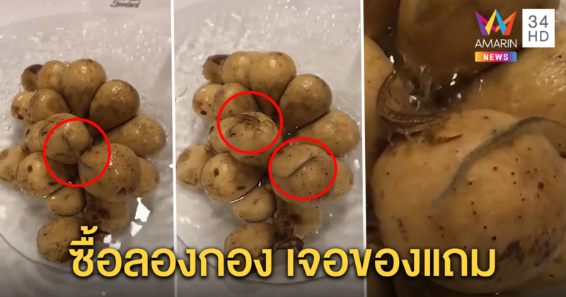 อันตรายใกล้ตัว ซื้อลองกองเจอของแถม แมงป่อง-ตะเข็บเลื้อย เตือนล้างก่อนกิน (คลิป)