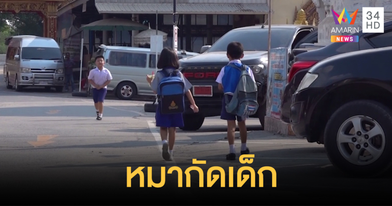 สุนัขจรจัดกัดนักเรียนและผู้ปกครองบาดเจ็บ 4 ราย