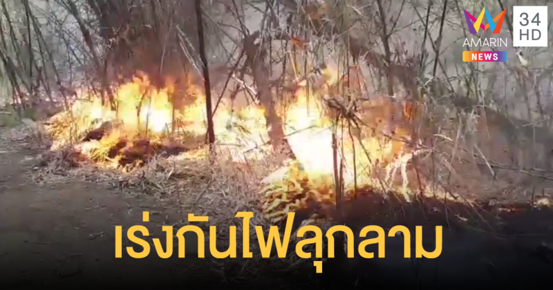 จนท.เร่งดับไฟป่าตรงข้ามสันเขื่อนภูมิพล