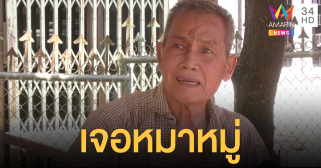 สุนัขรุมกัดคุณตาวัย 75 ปศุสัตว์ฯ สั่งเฝ้าสังเกตอาการหวั่นติดเชื้อพิษสุนัขบ้า
