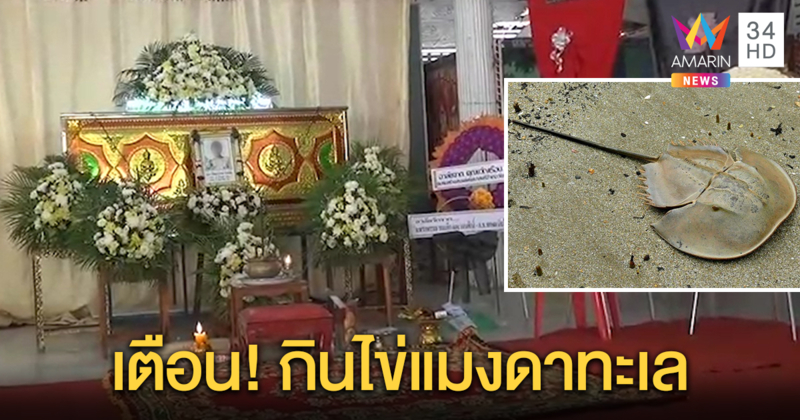 สาวใหญ่ซื้อแมงดาทะเลมากิน สุดท้ายเสียชีวิตเพราะพิษ ส่วนเพื่อนที่กินด้วยกันโคม่า