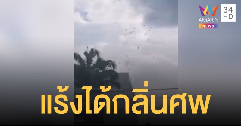 ฝูงแร้งบินวนเหนือ รพ.เอกวาดอร์ เพราะ  "ได้กลิ่นศพ"