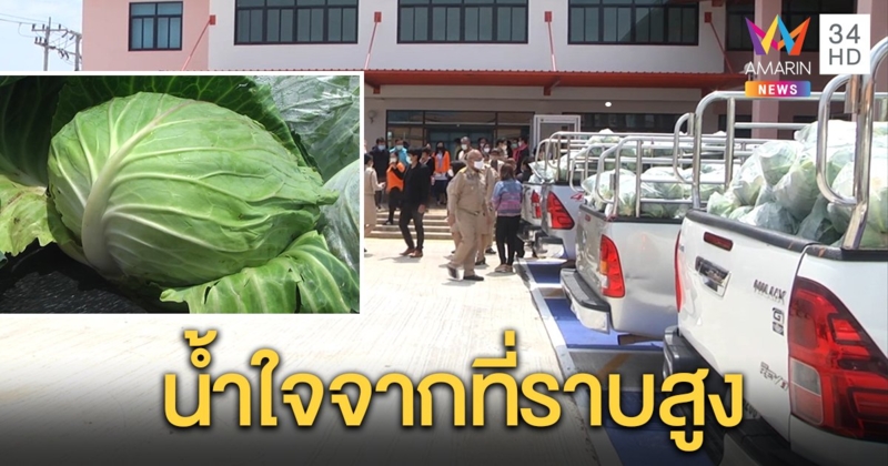 ชาวม้งภูทับเบิกน้ำใจล้น ลงเขามอบกะหล่ำปลี 6,300 กก. หวังบรรเทาปากท้องพ้นวิกฤตโควิด-19 