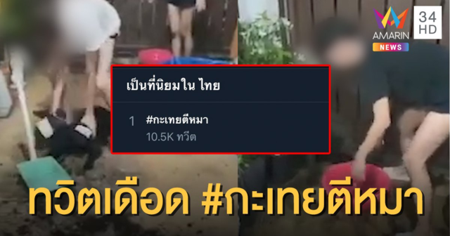 ชาวทวิตภพสาปส่ง! แห่ติดแฮชแท็ก #กะเทยตีหมา ขึ้นอันดับ 1 เทรนด์ทวิตเตอร์ไทย