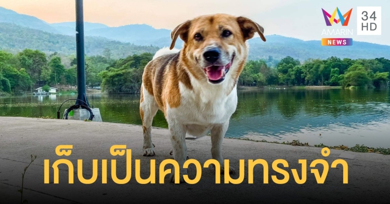 เตรียมสร้างรูปปั้น ประกอบโครงกระดูก "เตี้ย มช." เก็บในพิพิธภัณฑ์