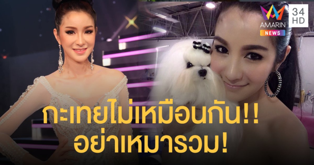 กะเทยไม่เหมือนกัน “ฟิล์ม มิสทิฟฟานี่” วอนอย่าเหมารวม กะเทยรักสัตว์ก็มีเยอะ